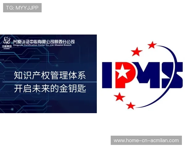 掘金体系成型:让企业从“追风者”到“领跑者”