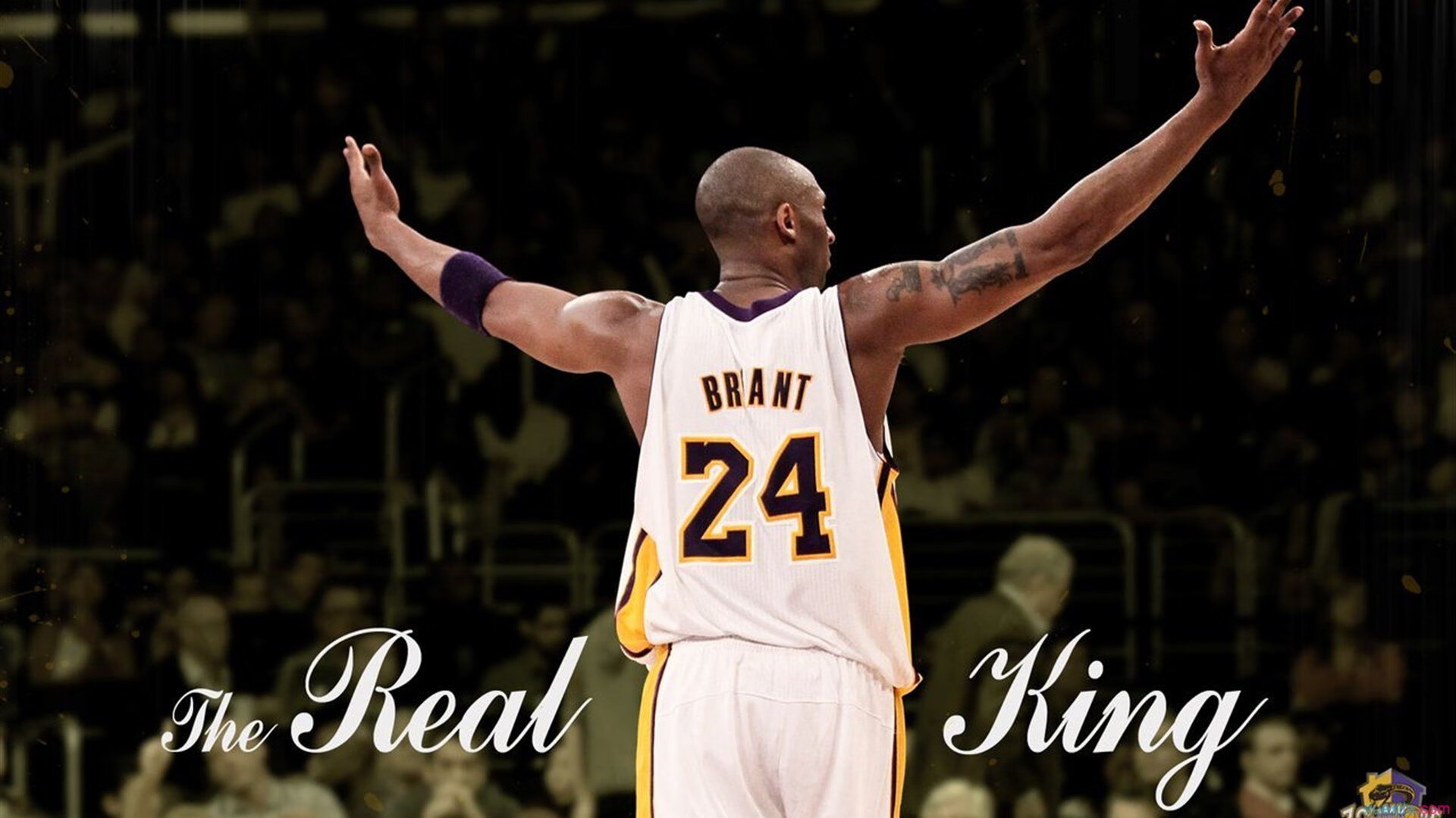 大数据驱动运动损伤预测系统落地,大数据驱动是什么意思